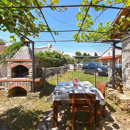 Suzi 2381 * Перой